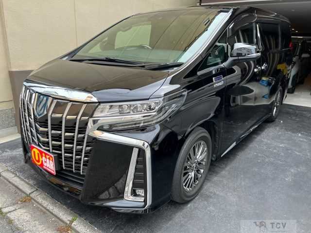 2019 Toyota Alphard G
