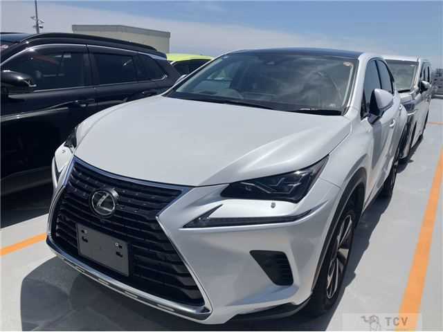 2021 Lexus Other