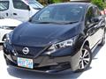 2022 Nissan Leaf
