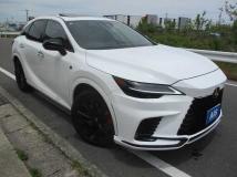 2024 Lexus RX