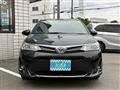 2019 Toyota Corolla Fielder