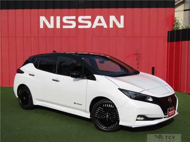 2022 Nissan Leaf