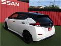2022 Nissan Leaf