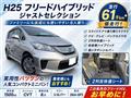 2013 Honda Freed