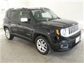 2017 Mitsubishi Jeep