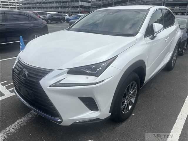2019 Lexus Other