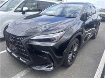 2023 Lexus Other