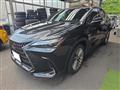 2023 Lexus Other