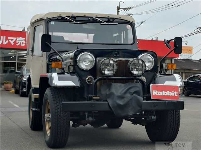 1992 Mitsubishi Jeep