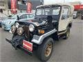 1992 Mitsubishi Jeep