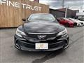 2019 Toyota Mark X