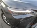 2024 Lexus Other