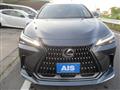 2024 Lexus Other