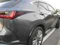 2024 Lexus Other