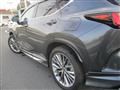 2024 Lexus Other