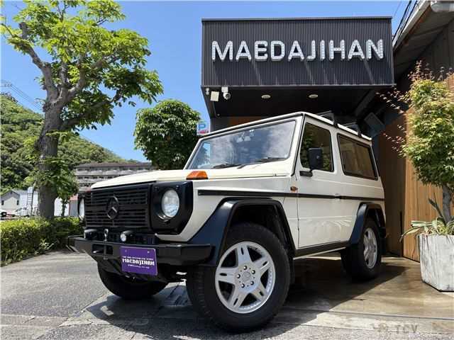 1987 Mercedes-Benz G-Class
