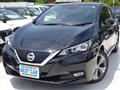 2018 Nissan Leaf