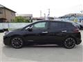 2019 Nissan Leaf