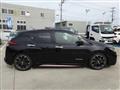 2019 Nissan Leaf