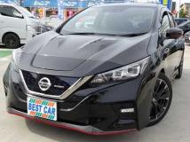 2019 Nissan Leaf