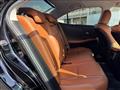 2010 Lexus HS HYBRID