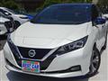 2019 Nissan Leaf