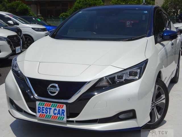 2019 Nissan Leaf