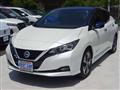 2019 Nissan Leaf
