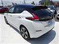 2019 Nissan Leaf