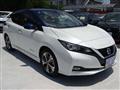 2019 Nissan Leaf