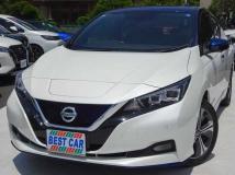 2019 Nissan Leaf