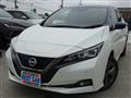 2022 Nissan Leaf