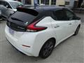 2022 Nissan Leaf