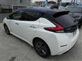 2022 Nissan Leaf