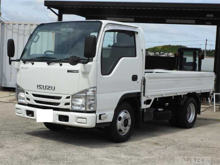 2018 Isuzu Elf Truck