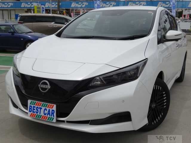 2025 Nissan Leaf