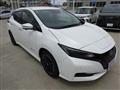 2025 Nissan Leaf