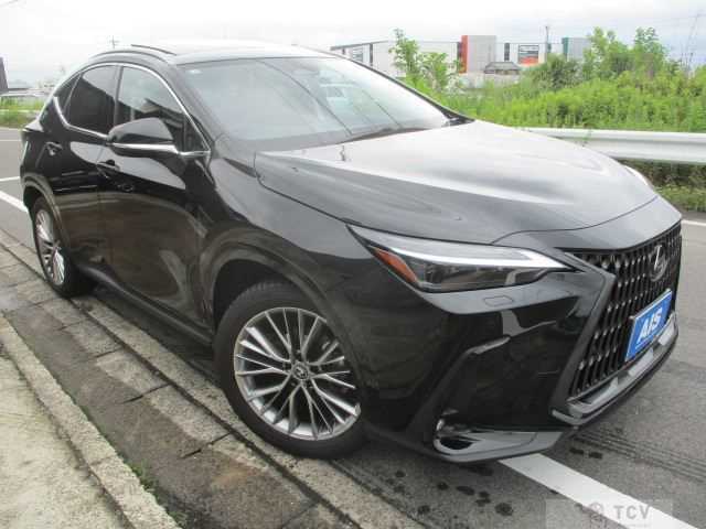2025 Lexus Other