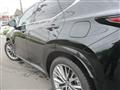 2025 Lexus Other
