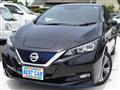 2020 Nissan Leaf