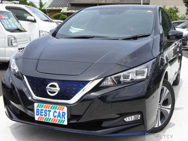 2020 Nissan Leaf