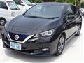 2020 Nissan Leaf