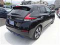 2020 Nissan Leaf