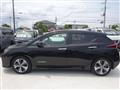 2020 Nissan Leaf