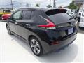 2020 Nissan Leaf