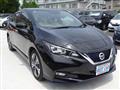 2020 Nissan Leaf