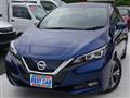 2021 Nissan Leaf