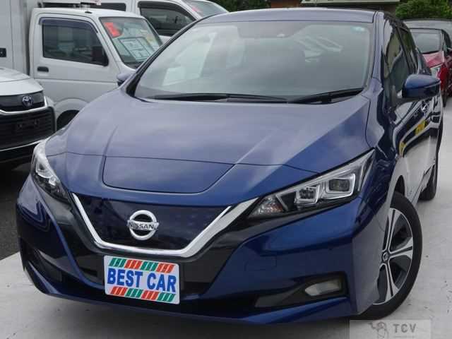2021 Nissan Leaf