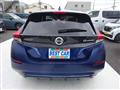 2021 Nissan Leaf