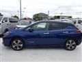 2021 Nissan Leaf